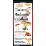 9781621263494-1621263495-Earth Sky + Water FoldingGuide™ - Common Mushrooms of the Northeast - 10 Panel Foldable Laminated Nature Identification Guide