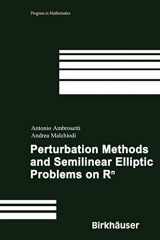 9783764373214-3764373210-Perturbation Methods and Semilinear Elliptic Problems on R^n (Progress in Mathematics, 240)