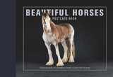 9781782402497-1782402497-Beautiful Horses Postcard Book: 30 Postcards of Champion Breeds to Keep or to Send (Beautiful Animals)