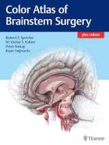 9781626230279-1626230277-Color Atlas of Brainstem Surgery