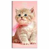 9781643328768-164332876X-TF Publishing Kittens 2-Year Small Monthly 2021-2022 Planner