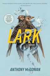 9781454954781-1454954787-Lark: A Novel (Volume 4) (Everyone Can Be a Reader (Hard Truths))