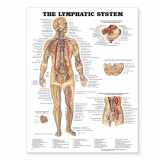 9781587790256-1587790254-The Lymphatic System Anatomical Chart