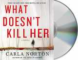 9781427243812-1427243816-What Doesn't Kill Her: A Novel (Reeve LeClaire Series)