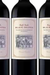 9780814717387-0814717381-Soft Soil, Black Grapes: The Birth of Italian Winemaking in California (Nation of Newcomers: Immigrant History As American History)