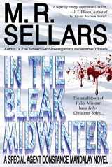 9780979453380-0979453380-In the Bleak Midwinter: A Special Agent Constance Mandalay Novel