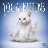 9781975467074-1975467078-Yoga Kittens OFFICIAL | 2024 7 x 14 Inch Monthly Mini Wall Calendar | BrownTrout | Animals Humor Cats Feline