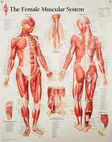 9781930633056-193063305X-Muscular System Female chart: Laminated Wall Chart