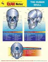 9780878912414-087891241X-Human Skull Anatomy EXAM Notes (EXAM Notes Reference Charts)