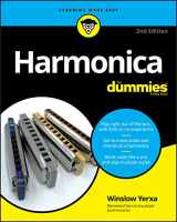 9781119700128-1119700124-Harmonica For Dummies, 2nd Edition (For Dummies (Music))