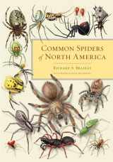 9780520315310-0520315316-Common Spiders of North America