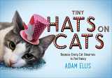 9780751557251-0751557250-Tiny Hats on Cats