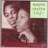 9781930560253-1930560257-A Fool In Love (Roots of Rhythm) (Roots of Rhythm)