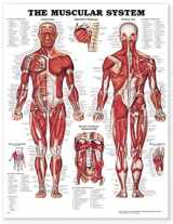 9781587790355-1587790351-The Muscular System Anatomical Chart