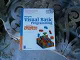 9780761535539-0761535535-Visual Basic Programming for the Absolute Beginner w/CD