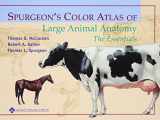 9780683306736-0683306731-Spurgeon's Color Atlas of Large Animal Anatomy: The Essentials