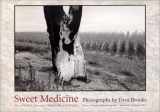9780826315380-0826315380-Sweet Medicine: Sites of Indian Massacres, Battlefields, and Treaties