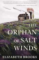 9781432862855-1432862855-The Orphan of Salt Winds (Thorndike Press Large Print Reviewers' Choice)
