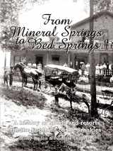 9780595454570-0595454577-From Mineral Springs to Bed Springs: A history of hotels and resorts in the Foothills of the Smokies