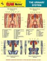 9780878912421-0878912428-Urinary System Anatomy EXAM Notes (EXAM Notes Reference Charts)