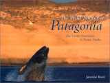 9780810943520-0810943522-The Wild Shores of Patagonia: The Valdes Peninsula & Punta Tombo