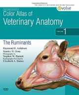 9780723434139-0723434131-Color Atlas of Veterinary Anatomy, Volume 1, The Ruminants
