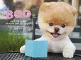 9781452103068-1452103062-Boo: The Life of the World's Cutest Dog (Halloween Books for Kids, Halloween Books for Toddlers, Cute Halloween Stories)