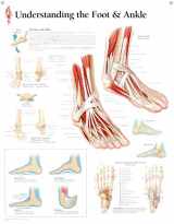 9781930633735-1930633734-Understanding the Foot & Ankle chart: Laminated Wall Chart