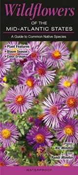 9781943334254-1943334250-Wildflowers of the Mid-Atlantic States DE, MD, NY, NJ, VA, WV: A Guide to Common Native Species