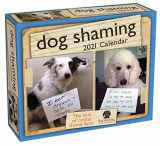 9781524857141-1524857149-Dog Shaming 2021 Day-to-Day Calendar