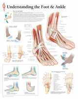 9781930633728-1930633726-Understanding the Foot & Ankle chart: Wall Chart