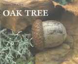 9780761404347-0761404341-Oak Tree (Webs of Life)