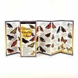9781621260196-1621260194-Earth Sky + Water FoldingGuide™ - Common Butterflies of the Midwest - 10 Panel Foldable Laminated Nature Identification Guide