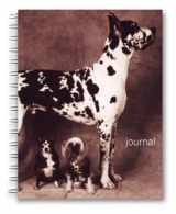 9781400045525-1400045525-Underdogs Wire-O Bound Journal (Potter Style)