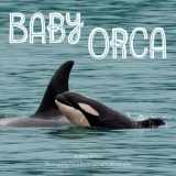 9780448488394-0448488396-Baby Orca