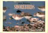 9780945582359-0945582358-Mid-Atlantic Shorebirds: A Book of Postcards