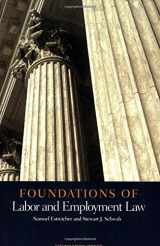 9781566629928-1566629926-Foundations of Labor and Employment Law (Foundations of Law Series)