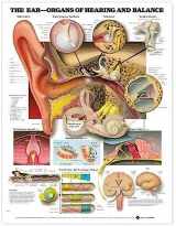 9781587791215-1587791218-The Ear: Organs of Hearing and Balance Anatomical Chart (9781587791215)