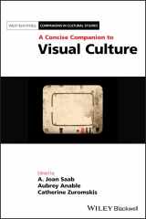 9781119415527-1119415527-A Concise Companion to Visual Culture (Blackwell Companions in Cultural Studies)