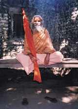9780956222848-0956222846-Dandi Swami: The Story of the Guru's Will, Maharishi Mahesh Yogi, the Shankaracharyas of Jyotir Math, & Meetings with Dandi Swami N