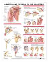 9781587798085-1587798085-Anatomy and Injuries of the Shoulder Anatomical Chart for Study Room