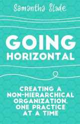 9781523095261-1523095261-Going Horizontal: Creating a Non-Hierarchical Organization, One Practice at a Time