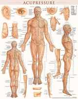 9781423222651-1423222652-Acupressure Poster (22 x 28 inches) - Laminated: Anatomy of Points for Acupressure & Acupunture