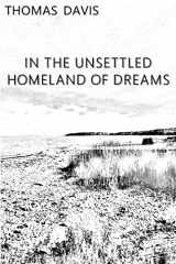 9781732723788-1732723788-In the Unsettled Homeland of Dreams