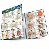 9781423244127-1423244125-Anatomy Quizzer: a QuickStudy Laminated Reference Guide