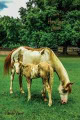 9781981626144-198162614X-Horse Lovers Journal (lined, ruled paper, medium size diary for writing, journaling, notebook to write in for women, girls, boys, men, teens, tweens, ... write stories, events, or what inspires you.