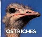 9781567662740-1567662749-Ostriches (Naturebooks)