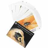 9780962515088-0962515086-Forensic Insect Identification Cards (grommet & screwpost bind, laminated)