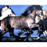 9780810971424-0810971429-Equus