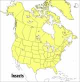 9780395911709-0395911702-A Peterson Field Guide To Insects: America North of Mexico (Peterson Field Guides)